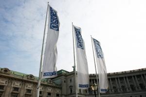 Image for OSCE Supplementary Human Dimension Meeting on Human Rights, April 2011